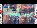 千の風になって/秋川雅史by 雨ちゃん&立浪大輔
