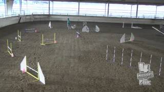 Cailleigh Sunday T2B Miniature Bull Terrier Club Akc Dec. 8, 2013