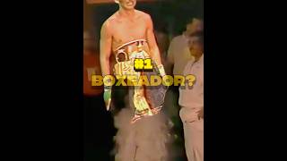 Como un payaso llego hacer el #1 en el boxeo?/ maromero Páez #curiosidades