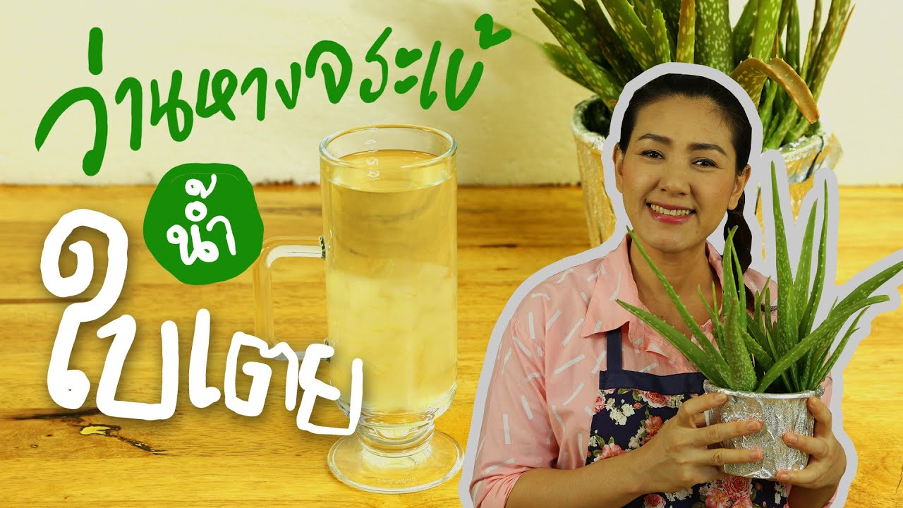 น้ำใบเตยว่านหางจระเข้ สูตรไม่ขม ไม่เหม็นเขียว อร่อยเหมือนกินวุ้น ได้ประโยชน์ | ครัวพิศพิไล