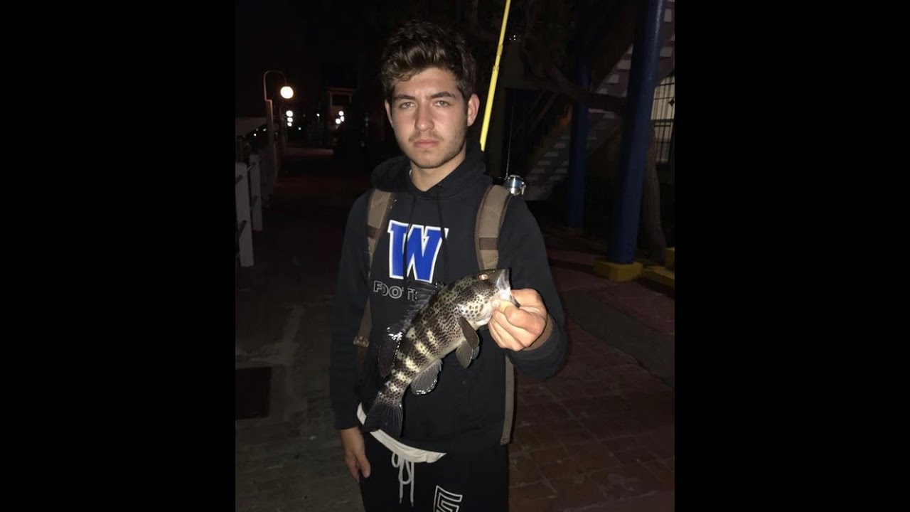 Big Bass at Night! Marina del Rey Bass Fishing (5-23-18)