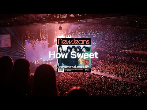[콘서트체험] NewJeans (뉴진스) - How Sweet Empty Arena ver