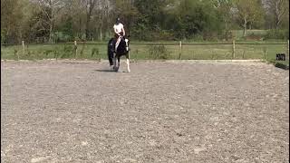 Ad ref 276093   Video 2