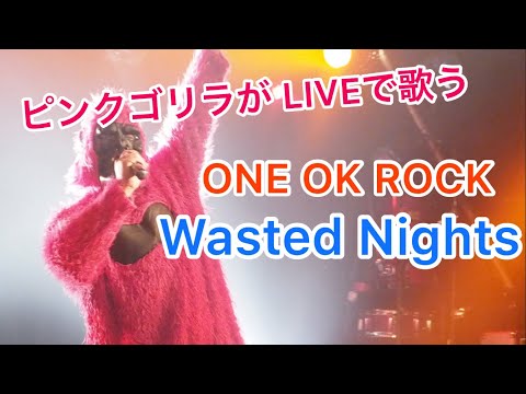 ONE OK ROCK『Wasted Nights』を【ピンクのゴリラ】が LIVEでカバーしてみた！
