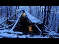 3 Days Bushcraft Winter Camping at Primitive Survival Shelter with my Dog, Nature Movie, DIY, ASMR