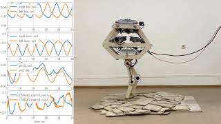 Gyrubot: biped walking blindfolded