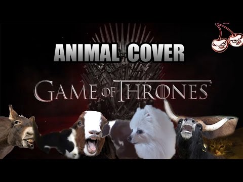 Game Of Thrones OST (Animal Cover)