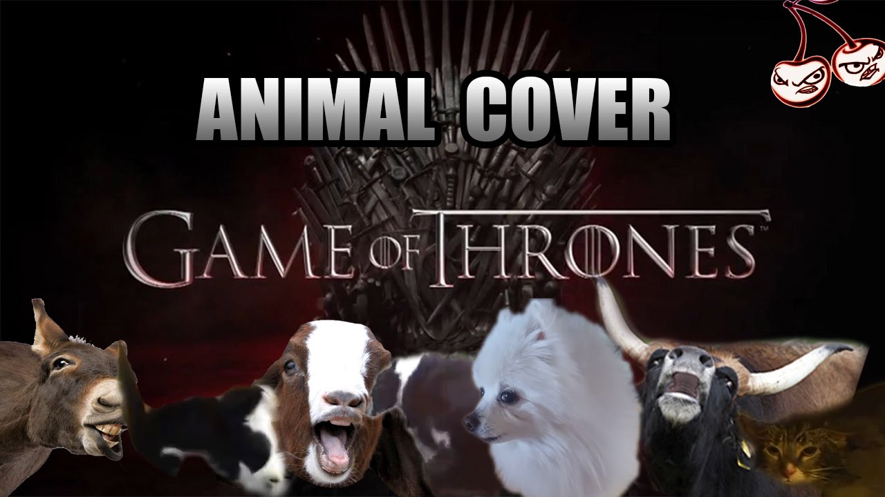 Game Of Thrones OST (Animal Cover)