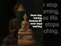 3 Important Life Lessons of Buddha #shorts