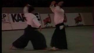 Aikido and Aikibudo at Bercy, Paris 1989