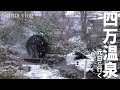 30歳になったので、元日からひとりで温泉旅行【vlog】