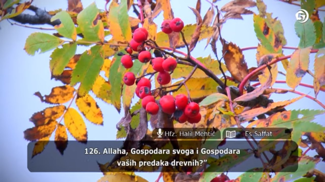 Učenje Kur'ana - hfz. dr. Halil ef. Mehtić - (Jasin, 28-83; Es-Saffat, 1-144) - 45. hizb