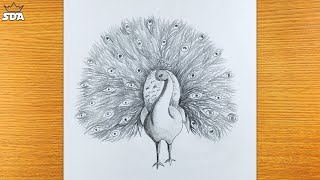 how to draw a peacock step by step in easy pencil sketch drawing for kids ,peacock drawing screenshot 4