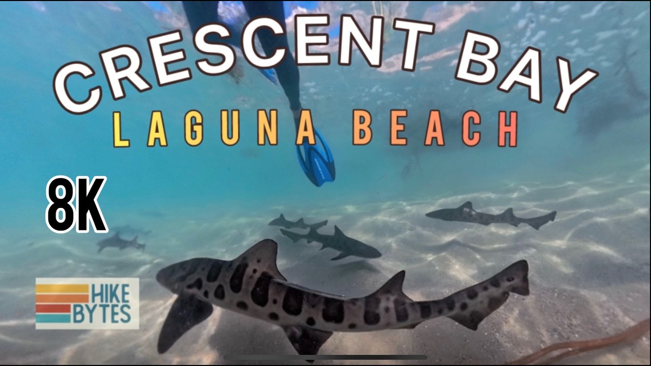 SNORKELING Crescent Bay | Underwater Paradise | Laguna Beach California | SwImming with Sharks