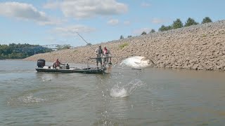 Fighting Invasive Carp - TN WildCast 301
