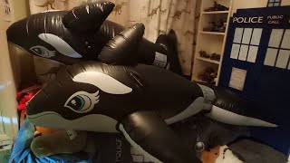 inflating two Intex inflatable killer whale's