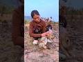 She Used a Genius Survival Idea to Catch a Rabbit 😲🐰 #bushcraft #survival #shorts #campping #useful