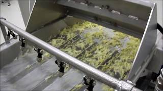 Impianto Di Lavaggio Ortofrutta Iv Gamma Favrin Srl