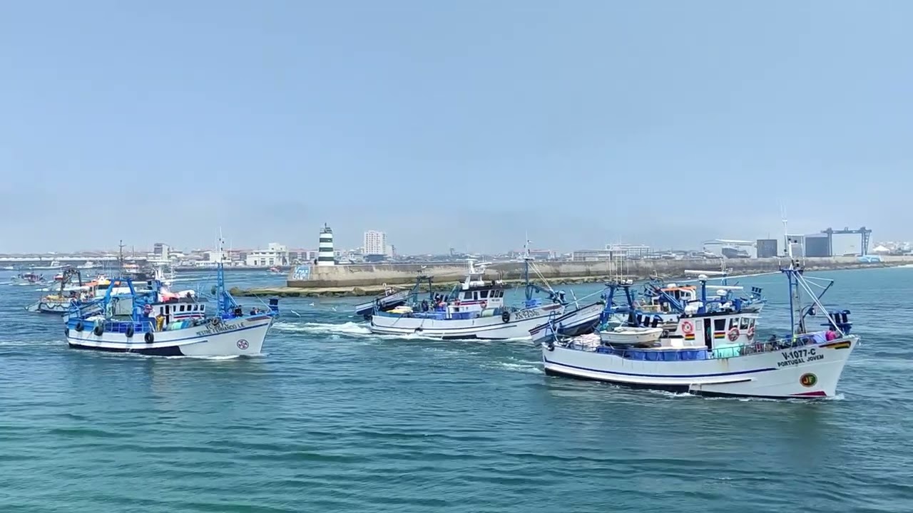 As Traineiras a partirem para a pesca