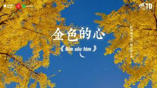 🎵 [Playlist] Nhạc Trung Hot TikTok | Những Bản Nhạc Mới Nhất Douyin Trung Quốc 2026
