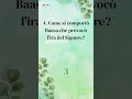 5 domande per valutare la tua fede in 1 minuto - Quiz Biblico in 1 Minuto (377)