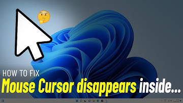 Fix Mouse Cursor Disappears inside (Document , Address Bar , Search Bar ) Not Showing Windows 11/10