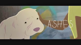 Can Beauty Come Out Of Ashes? Kitbull