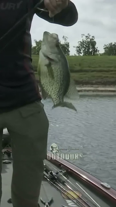 Jimmy Houston Outdoors – Pursuit Channel