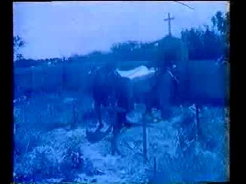 Blue China — BLUE CHINA - VISITORS NEVER COME ALONE (original version)