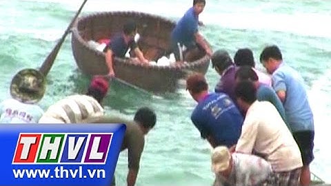 THVL | 2 tàu cá bị chìm trên biển Quảng Ngãi, 1 ngư dân mất tích