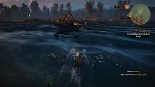 Funny Bug In Witcher 3