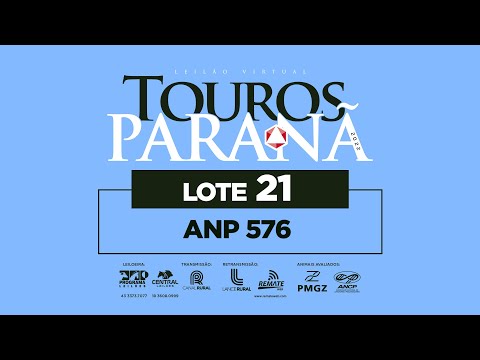 LOTE 21 ANP 576