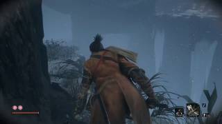 SEKIRO - GREAT SNAKE | FIRST ENCOUNTER - High Tension and Fun ! | Gamepelliarmus
