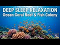 Peaceful Night Meditation with Gentle Underwater Sounds for Emotional Healing