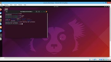 Perintah Dasar Sistem Operasi Linux Ubuntu-UAS Praktikum Sistem Komputer