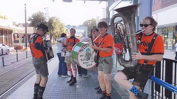 Thumbnail of Polish Pete and the Polka Hardly Know Her Band "Altuve" Astros World Series Song