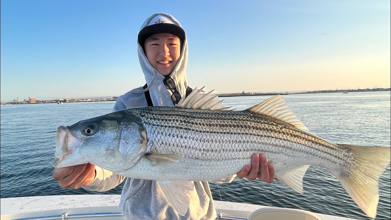 Catching Big Striped Bass in Boston Harbor! 