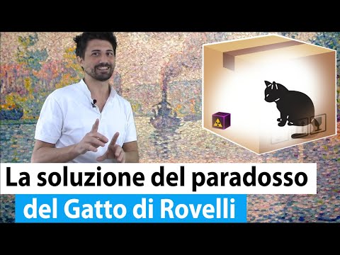 Video: Valore netto del gatto Deeley