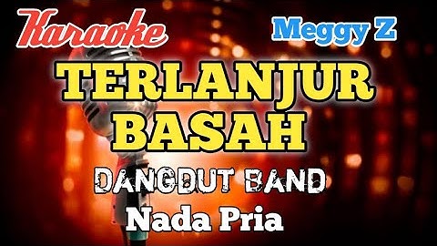 Terlanjur basah - Meggy Z Karaoke Dangdut nada Pria