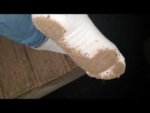 Dirty white ankle socks