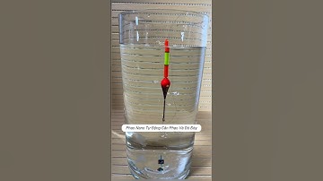 Phao nano tự động cân phao, dò đáy #cauca #fishing #shorts