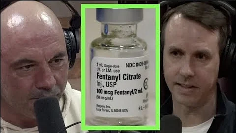 Journalist Ben Westhoff on The Rise of Fentanyl | ...