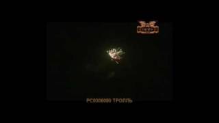 РС0306080 Троль