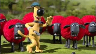 Shaun the Sheep   Awas Banteng Galak! The Bull
