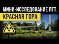 Мини-исследование пгт. Красная Гора. Брянская область.