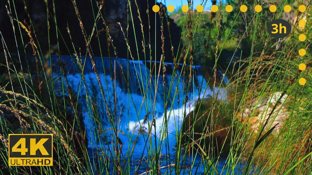 Расслабляющий звук водопада для концентрации | Белый шум для работы и учёбы