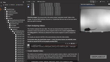 Tutorial for DeepLabCut Google COLAB DEMO!