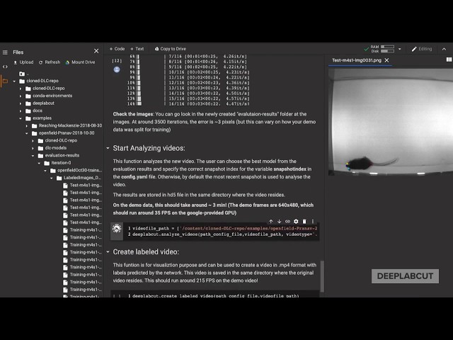 Tutorial for DeepLabCut Google COLAB DEMO!