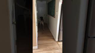 How to back up a trailer