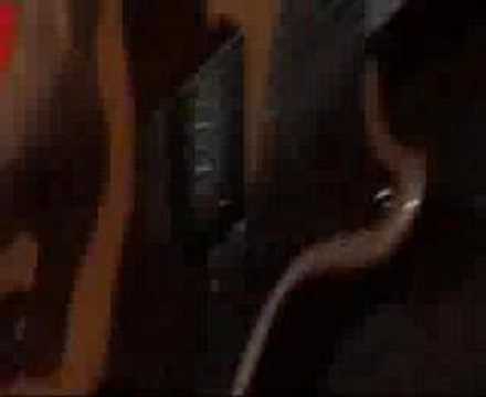 the kooks live on jools holland always where i need to be